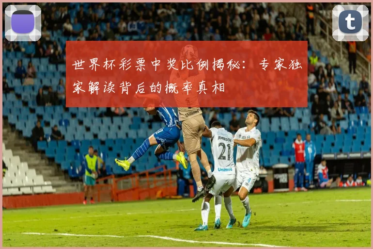 世界杯彩票中奖比例揭秘：专家独家解读背后的概率真相