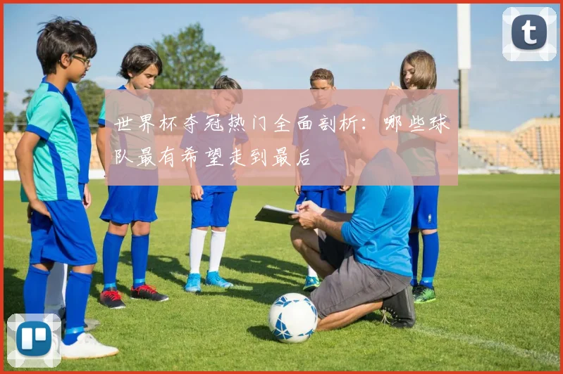世界杯夺冠热门全面剖析：哪些球队最有希望走到最后