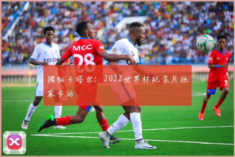 揭秘卡塔尔:2022世界杯纪录片独家专访