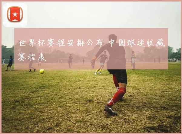 世界杯赛程安排公布 中国球迷收藏赛程表