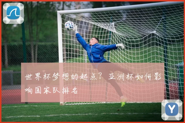世界杯梦想的起点？亚洲杯如何影响国家队排名