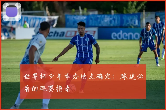 世界杯今年举办地点确定：球迷必看的观赛指南
