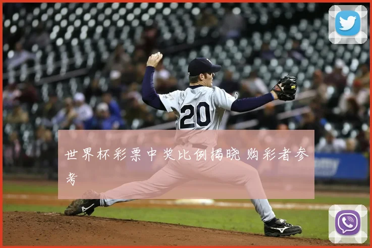 世界杯彩票中奖比例揭晓 购彩者参考